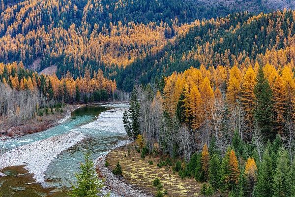 Middle Fork of the Flathead River in autumn in Glacier National Park-Montana-USA